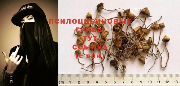 крисы Беломорск